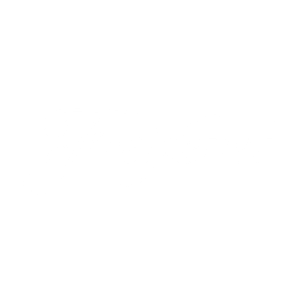 freixenet empresa de cava | Planta 1 Studio